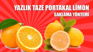 portakal-limon-saklama-yontemi